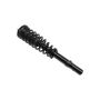 FCS Struts 2335527L Suspension Strut and Coil Spring Assembly