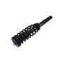 FCS Struts 2335543L Suspension Strut and Coil Spring Assembly