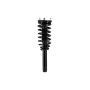 FCS Struts 2335556 Suspension Strut and Coil Spring Assembly