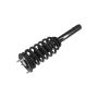 FCS Struts 2335556 Suspension Strut and Coil Spring Assembly