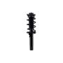 FCS Struts 2335576 Suspension Strut and Coil Spring Assembly