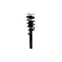 FCS Struts 2335682L Suspension Strut and Coil Spring Assembly