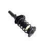 FCS Struts 2335795L Suspension Strut and Coil Spring Assembly