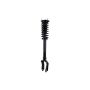 FCS Struts 2335883L Suspension Strut and Coil Spring Assembly