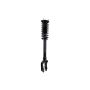 FCS Struts 2335883R Suspension Strut and Coil Spring Assembly
