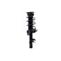 FCS Struts 2335893L Suspension Strut and Coil Spring Assembly
