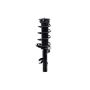 FCS Struts 2335893R Suspension Strut and Coil Spring Assembly