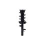 FCS Struts 2335897L Suspension Strut and Coil Spring Assembly