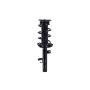 FCS Struts 2335897R Suspension Strut and Coil Spring Assembly
