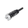 FCS Struts 2335906 Suspension Strut and Coil Spring Assembly