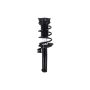 FCS Struts 2335970 Suspension Strut and Coil Spring Assembly