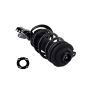 FCS Struts 2335992L Suspension Strut and Coil Spring Assembly