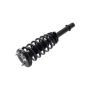 FCS Struts 2336305R Suspension Strut and Coil Spring Assembly