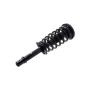 FCS Struts 2336305R Suspension Strut and Coil Spring Assembly