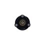 FCS Struts 2336311L Suspension Strut and Coil Spring Assembly