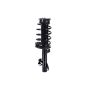 FCS Struts 2336311R Suspension Strut and Coil Spring Assembly