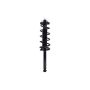 FCS Struts 2336312 Suspension Strut and Coil Spring Assembly