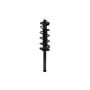FCS Struts 2336312 Suspension Strut and Coil Spring Assembly