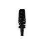 FCS Struts 2336324 Suspension Strut and Coil Spring Assembly
