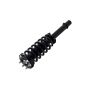 FCS Struts 2336347 Suspension Strut and Coil Spring Assembly