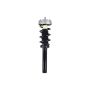 FCS Struts 2337073 Suspension Strut and Coil Spring Assembly