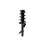 FCS Struts 2337077L Suspension Strut and Coil Spring Assembly