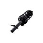 FCS Struts 2337077L Suspension Strut and Coil Spring Assembly