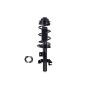 FCS Struts 2337127L Suspension Strut and Coil Spring Assembly
