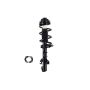 FCS Struts 2337127R Suspension Strut and Coil Spring Assembly