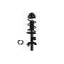 FCS Struts 2337127R Suspension Strut and Coil Spring Assembly