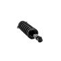 FCS Struts 2345397 Suspension Strut and Coil Spring Assembly
