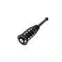 FCS Struts 2345399 Suspension Strut and Coil Spring Assembly