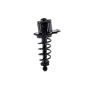 FCS Struts 2345453L Suspension Strut and Coil Spring Assembly