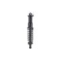 FCS Struts 2345481L Suspension Strut and Coil Spring Assembly