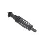 FCS Struts 2345481L Suspension Strut and Coil Spring Assembly
