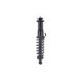 FCS Struts 2345481R Suspension Strut and Coil Spring Assembly