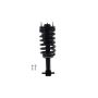 FCS Struts 2345555 Suspension Strut and Coil Spring Assembly