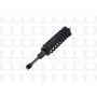 FCS Struts 2345566R Suspension Strut and Coil Spring Assembly