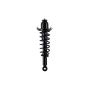 FCS Struts 2345742L Suspension Strut and Coil Spring Assembly