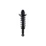 FCS Struts 2345742R Suspension Strut and Coil Spring Assembly