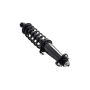 FCS Struts 2345766 Suspension Strut and Coil Spring Assembly