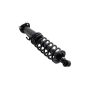 FCS Struts 2345766 Suspension Strut and Coil Spring Assembly