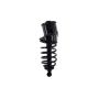 FCS Struts 2345782R Suspension Strut and Coil Spring Assembly