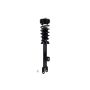 FCS Struts 2345795 Suspension Strut and Coil Spring Assembly