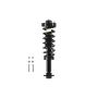 FCS Struts 2345798L Suspension Strut and Coil Spring Assembly