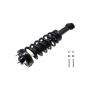 FCS Struts 2345798L Suspension Strut and Coil Spring Assembly