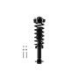 FCS Struts 2345798R Suspension Strut and Coil Spring Assembly