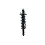 FCS Struts 2345844 Suspension Strut and Coil Spring Assembly