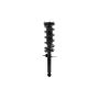 FCS Struts 2345879R Suspension Strut and Coil Spring Assembly