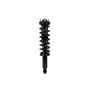 FCS Struts 2345881 Suspension Strut and Coil Spring Assembly